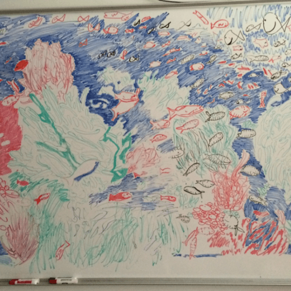 Fight For The&nbsp;Reef