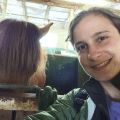Horse Selfie