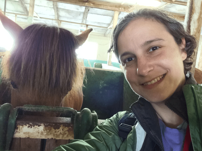 Horse Selfie