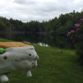 Tofu San by the&nbsp;Pond