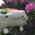 Tofu San smelling the&nbsp;Flowers