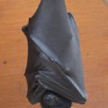 Bat 2