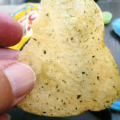 Chip