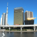 SkyTree Etc.