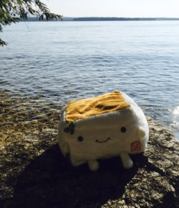 Tofu San at Lake