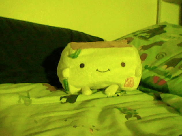 Tofu San back in Boston