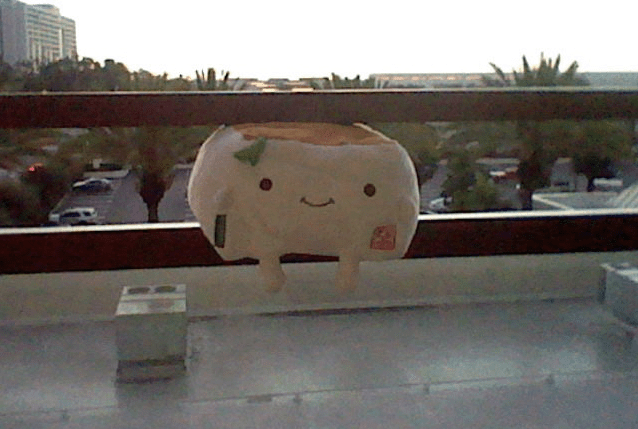 Tofu San looking out on a balcony at the palm trees