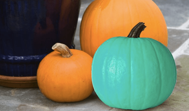 teal pumpkin