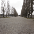 Dachau 7
