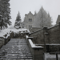 Neushwanstein Castle 3