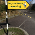 Leprechaun Crossing
