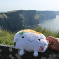 TofuSan Moher