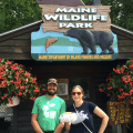 Maine Wildlife Park