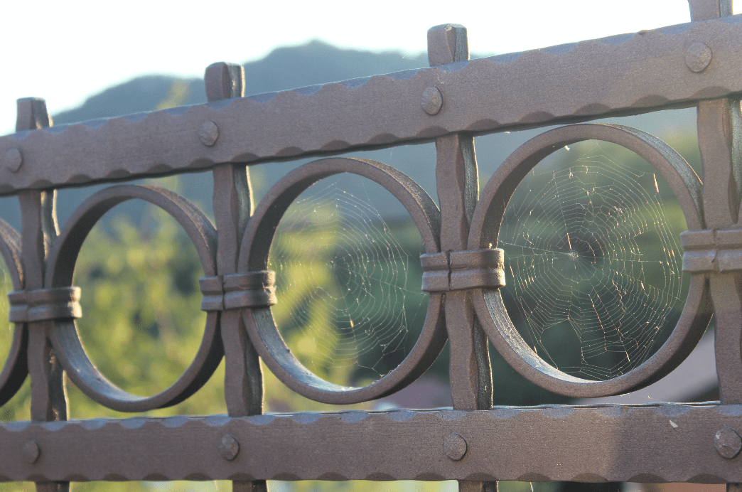 Spiderwebs