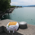 Tofu San at Zurich&nbsp;Lake