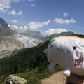Tofu San at a glacier in&nbsp;Switzerland