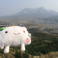 Tofu San at Mount St.&nbsp;Helens