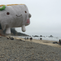 Tofu San at the Oregon&nbsp;Coast