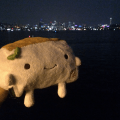 Tofu San checks out Seattle at&nbsp;night