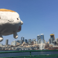 Tofu San with a view of&nbsp;Seattle