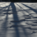 Snow shadows
