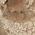Cracked Earth