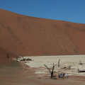 Deadvlei people