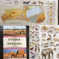 Etosha Booklet