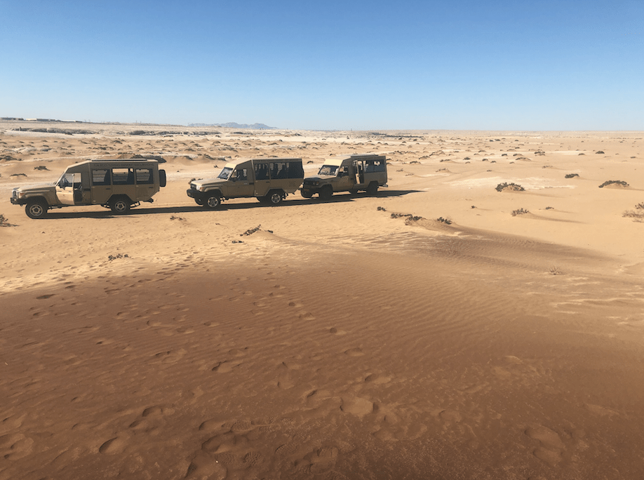Jeeps in Desert