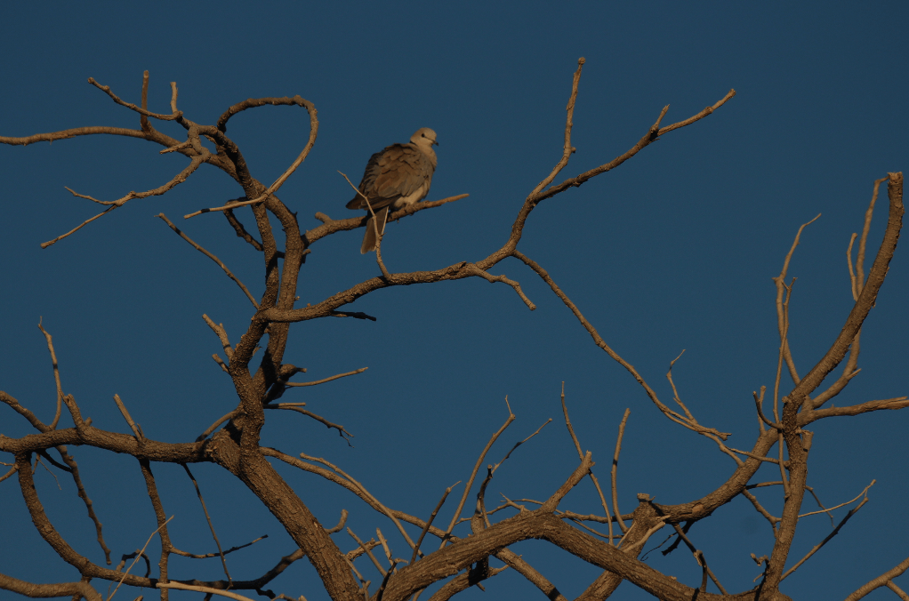 Screen Shot 2018-08-14 at 10.32.57 PM.png