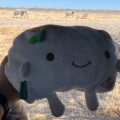 Tofu San and&nbsp;Elephants