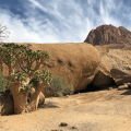 Spitzkoppe 8