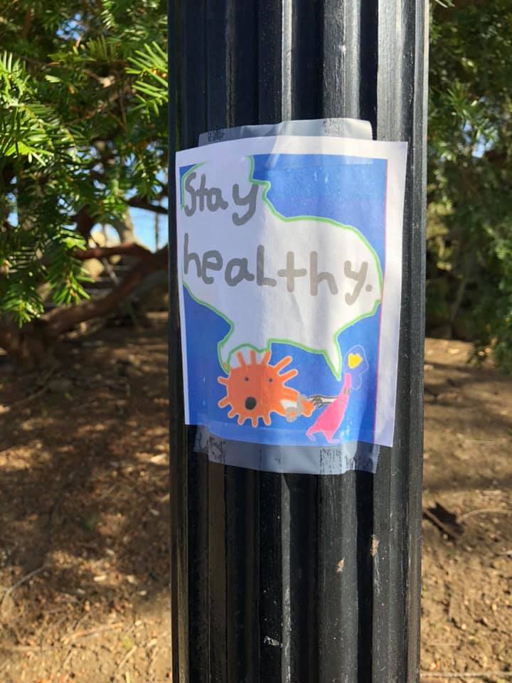 90387981_10156851191607127_2227511979784798208_n